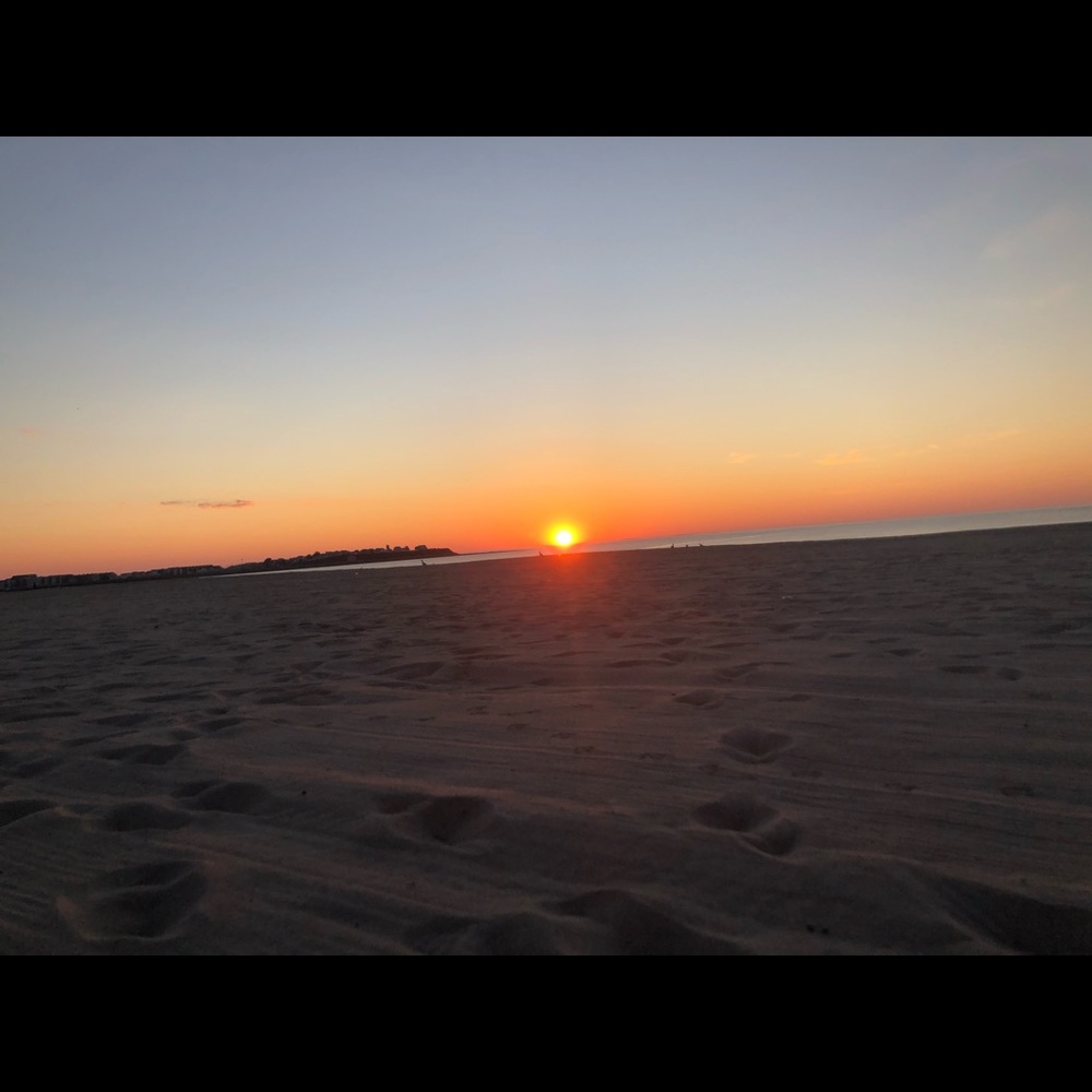 Meet your Posher, Briar